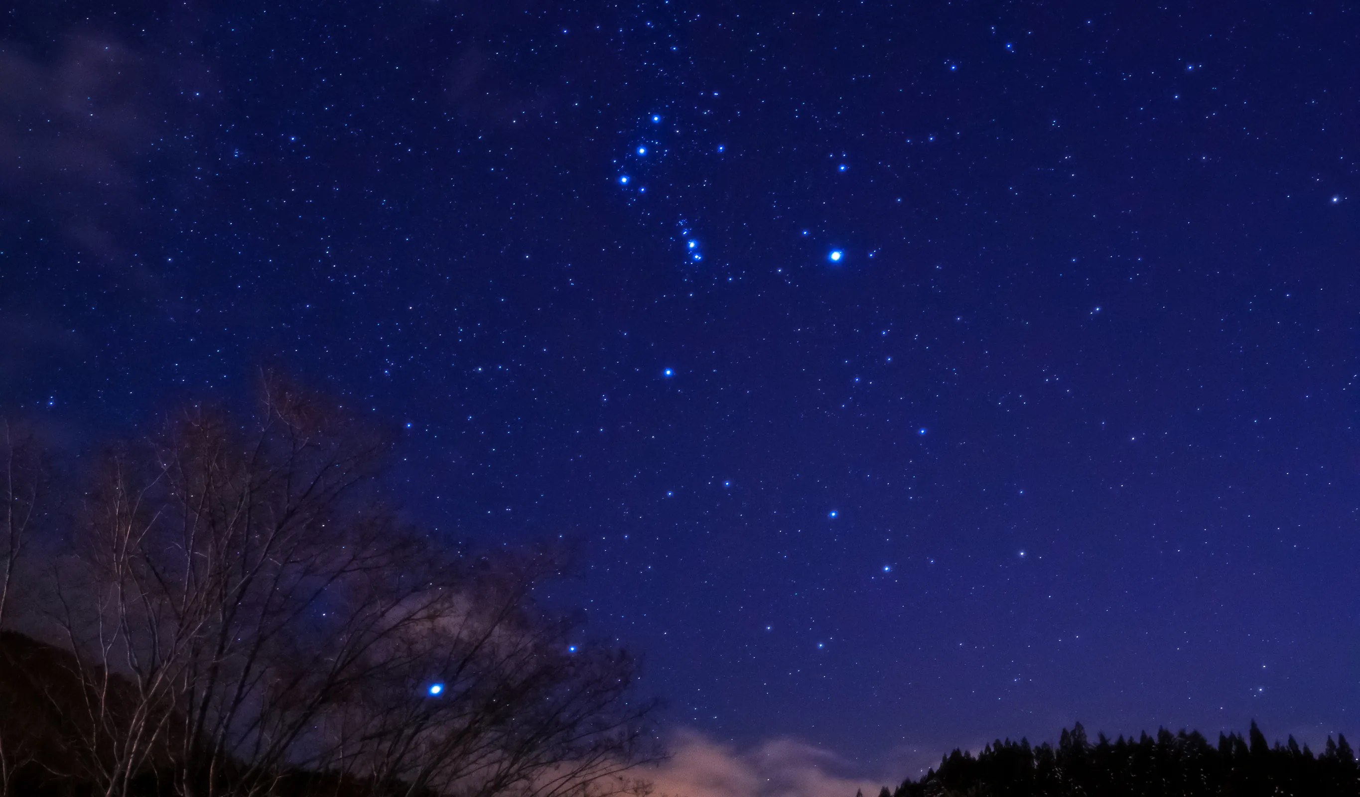 冬の星空